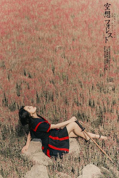 (空想森林 歌词)在空想森林中迷失的歌词之旅