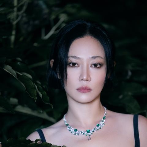 壮丽红色丛林鸟：热带林间羽翼翱翔，绚丽多彩令人惊叹