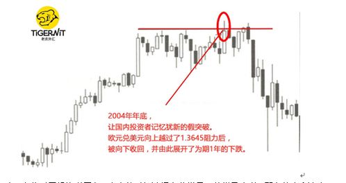 2024天天彩资料免费大全|定性分析解释落实_战略版.9.510