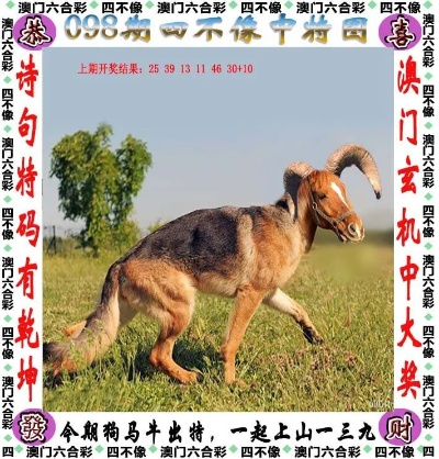 今晚正版四不像一肖图图片|探索未来科技无限可能_智慧款.5.208