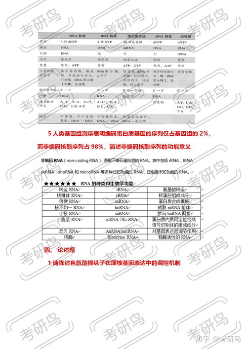 202了管家婆资料正版大全澳门|统计解答解释落实_协作款.7.911