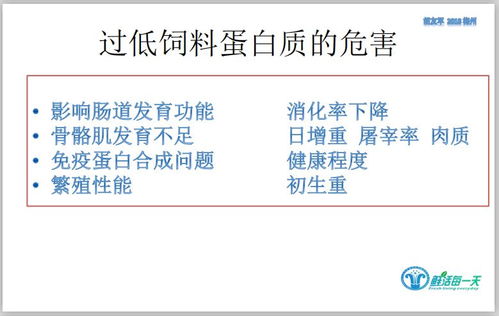 7777788888精准平台|理论解答解释落实_共享型.7.296