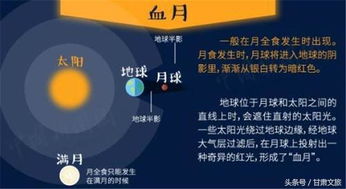 新澳门今晚开奖结果查询|神秘法则揭示成功秘籍_演示款.1.137