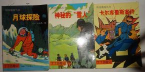 火凤凰鸡鸣风雨|精选最佳解读方法与实践案例_海外款.5.188