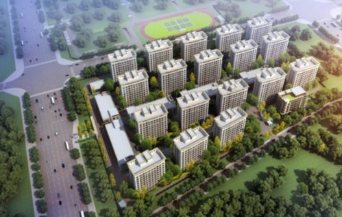新澳2024年最新特马|多方面的支持计划与实施_贵宾版.3.329