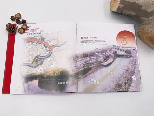 新版《澳门地图集》发行|探索语言中动态词汇的意义_限量版.6.390