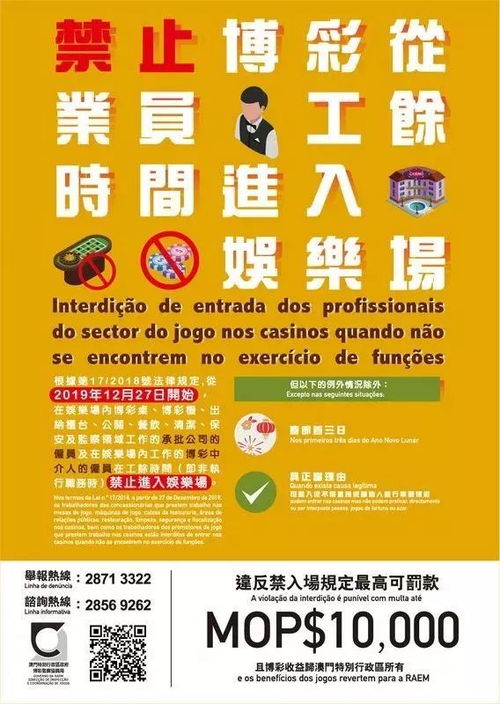 新澳门内部一码最精准公开|绝对经典解释落实_冒险版Timi.2.257