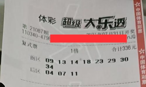 2024年新奥门免费资料大乐透|探索澳门的无限魅力与精彩活动_精简版IOS.6.502